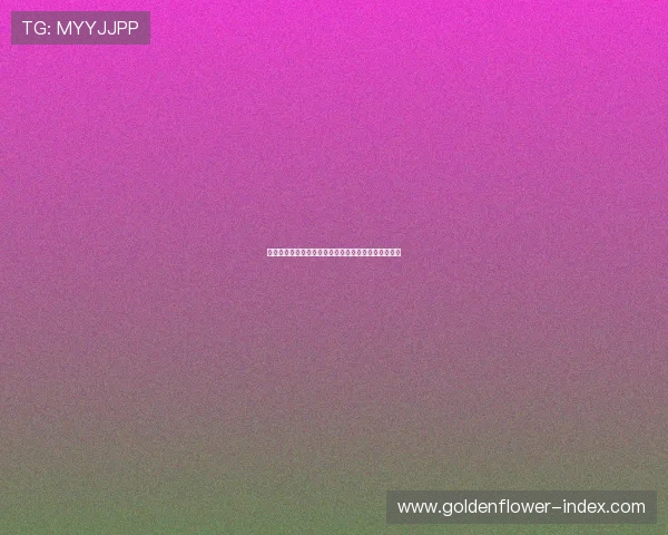 宋文杰：从学术研究到社会实践的多元探索与创新贡献